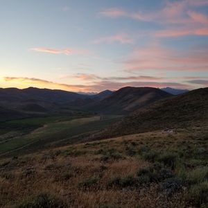 Meet your Posher, Mia